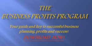 Business Profits Program