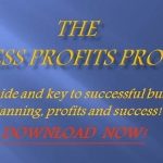 Business Profits Program
